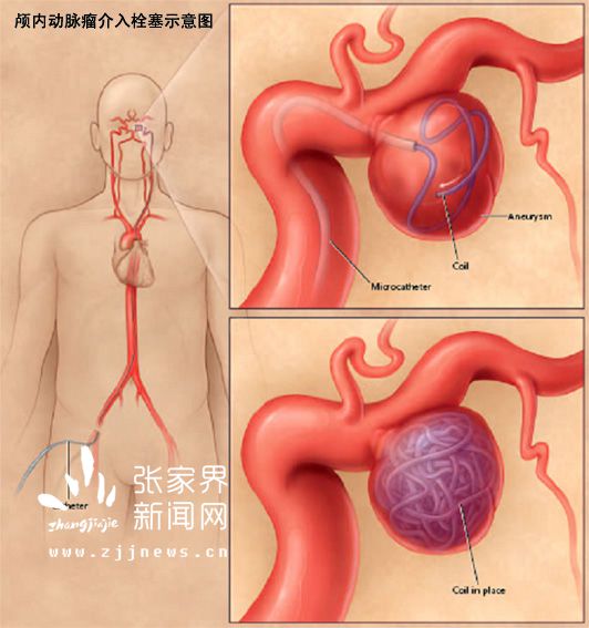 QQ圖片20160622110957_副本.jpg